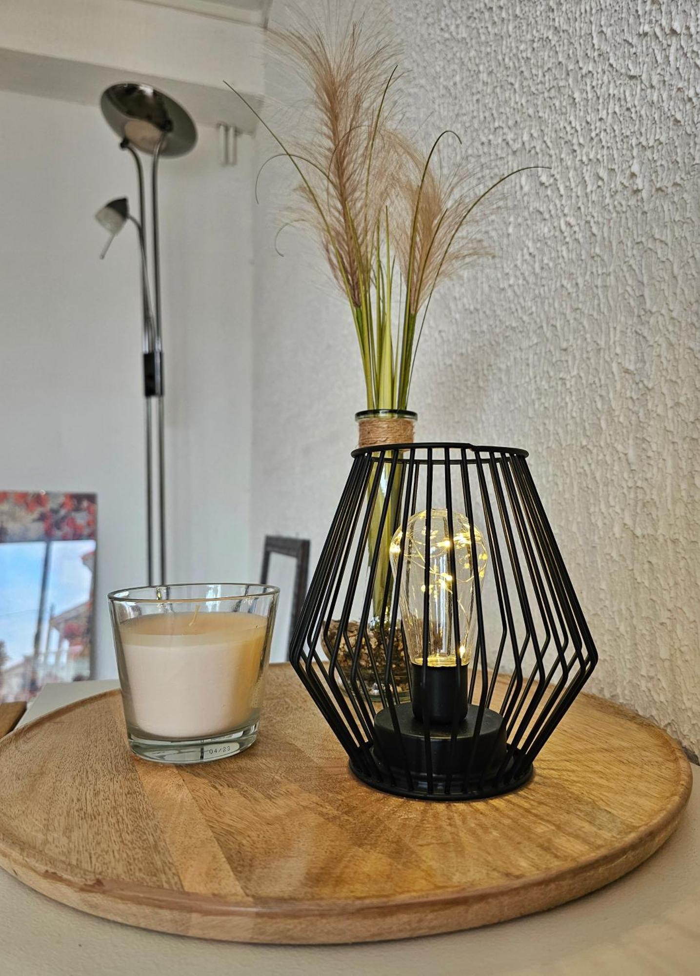 Appartement Lumineux Et Calme En Rez-De-Jardin Castanet-Tolosan Bagian luar foto