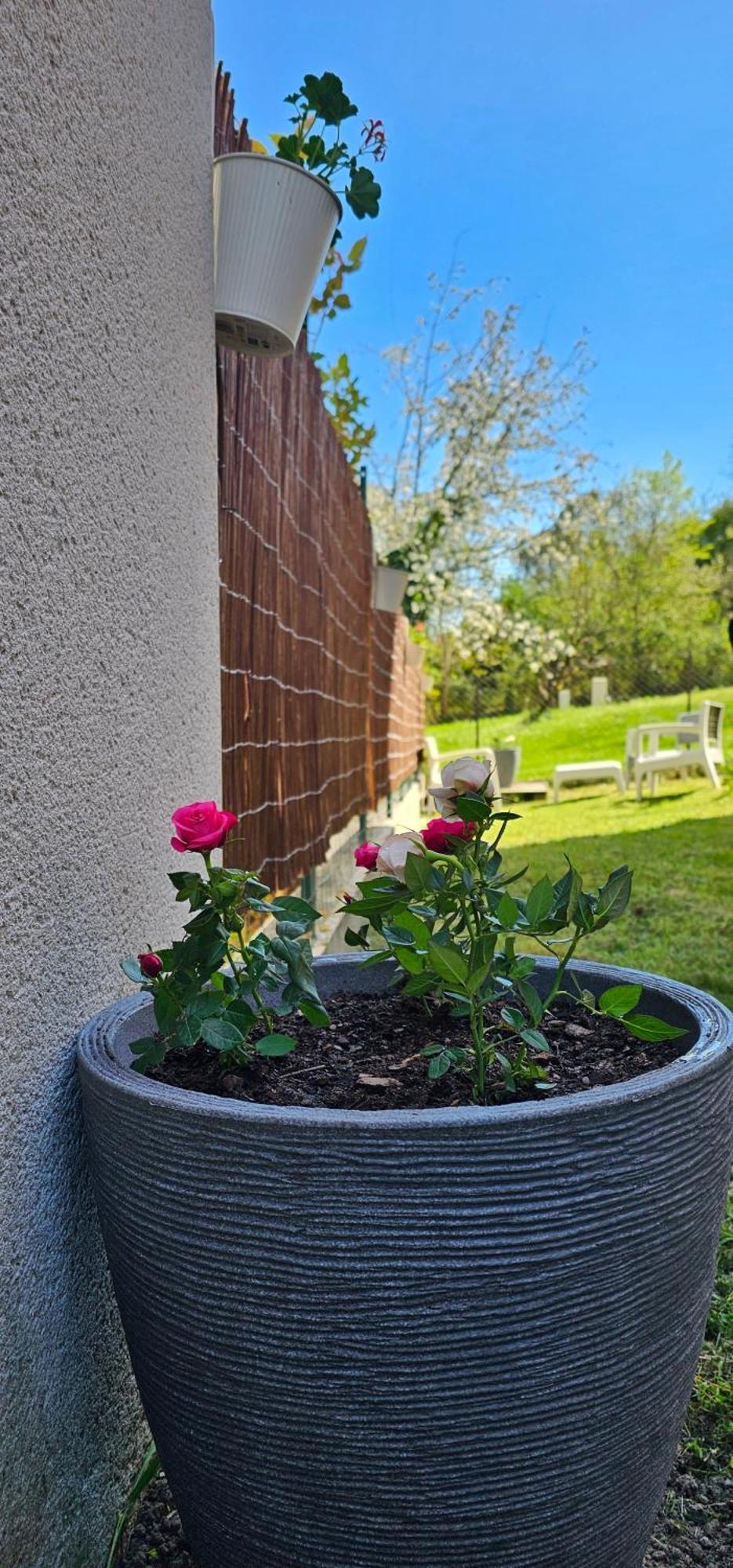 Appartement Lumineux Et Calme En Rez-De-Jardin Castanet-Tolosan Bagian luar foto